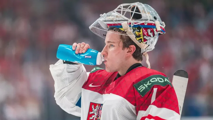 Dostál se blíží k novému kontraktu. Ducks si musejí sáhnout hluboko do kapsy